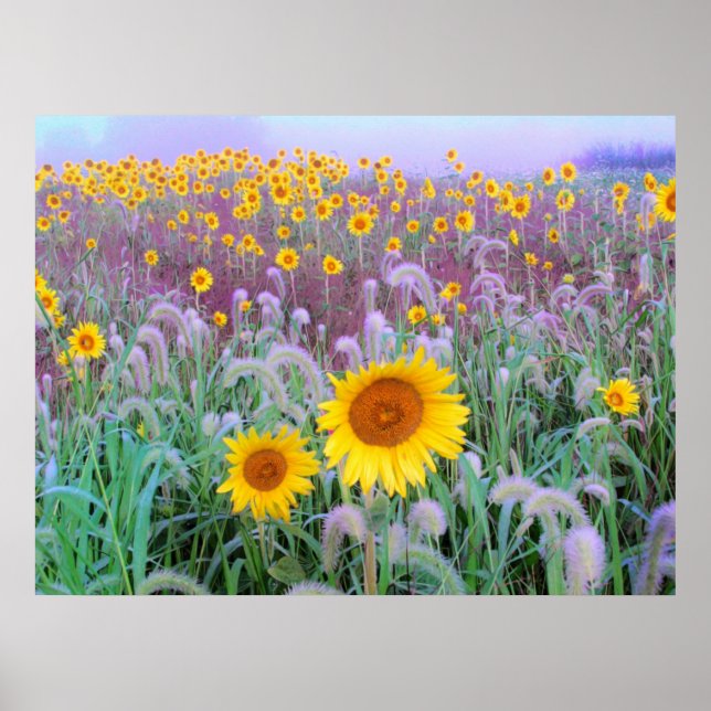 Póster Por la mañana, imprimir (Frente)