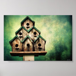 Póster Por los pájaros