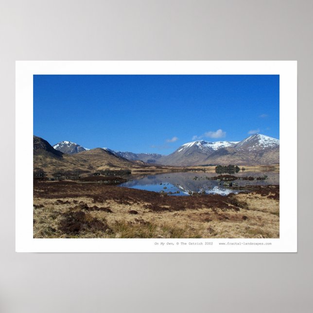 Póster Por mi cuenta (Frente)