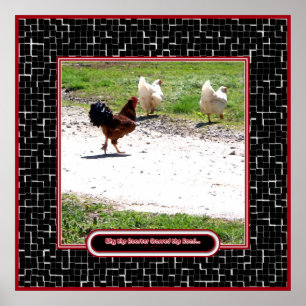 Póster Por qué el gallo cruzó el camino