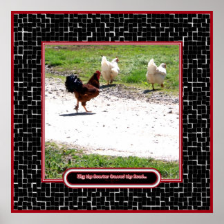 Póster Por qué el gallo cruzó el camino