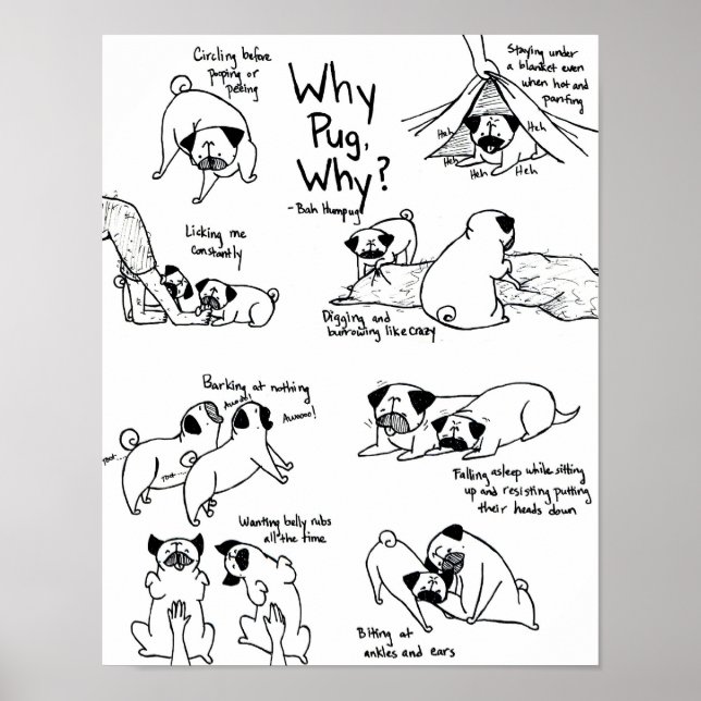 Póster ¿Por qué Pug, por qué? (Frente)