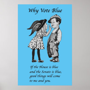 Póster Por qué votar azul en 2026