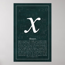 Póster ¿Por qué X?