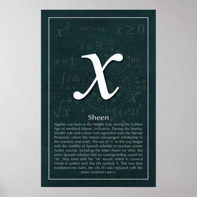 Póster ¿Por qué X? (Frente)