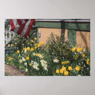 Póster Porche americano