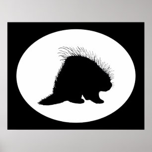 Póster Porcupina
