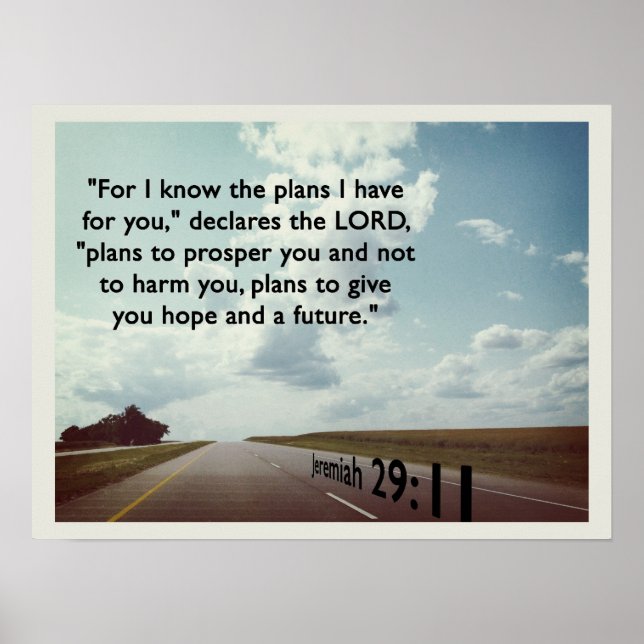 Póster Porque conozco los planes... (Frente)