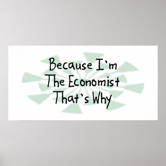 Póster Porque soy el economista (Frente)