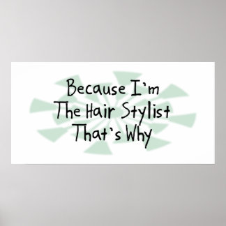Póster Porque soy el Hair Stylist