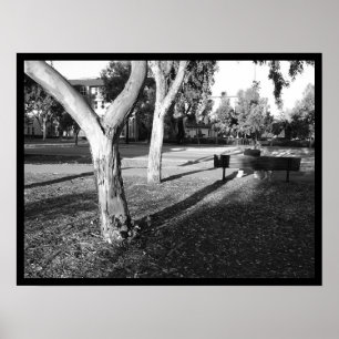 Póster portafolio fotográfico IV #5