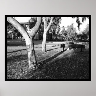 Póster portafolio fotográfico IV #5