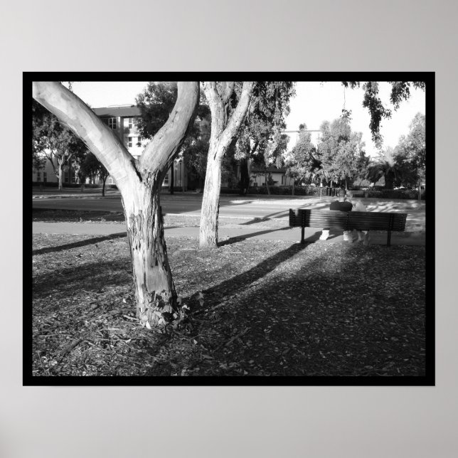 Póster portafolio fotográfico IV #5 (Frente)