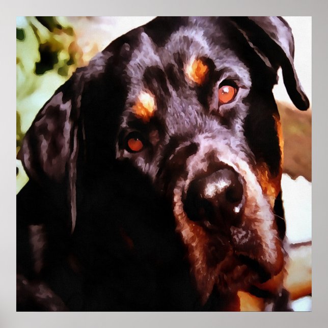 Póster Portait Mascota artístico Rottweiler (Frente)