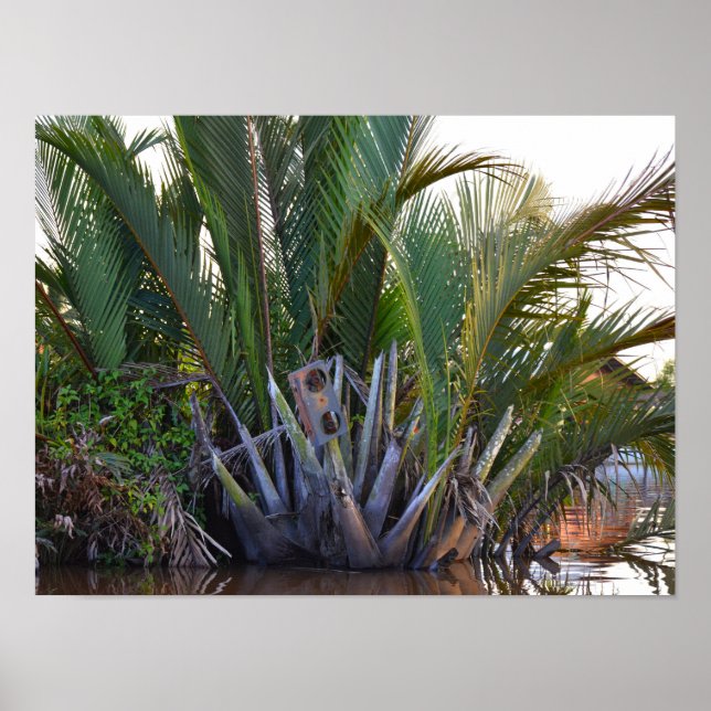 Póster Portavoz atrapado en la palma de Nipa en la peníns (Frente)