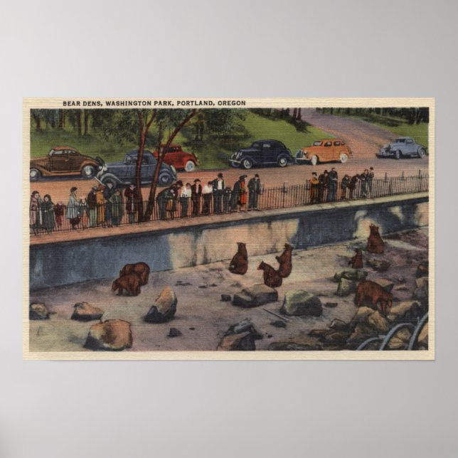 Póster Portland, ORBear Dens en Washington Park (Frente)