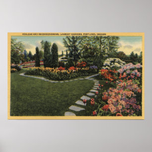 Póster Portland, Oregon - azaleas y rododendros