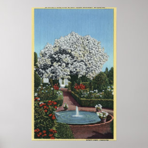 Póster Portland, Oregón - Piscina española y árbol fantas