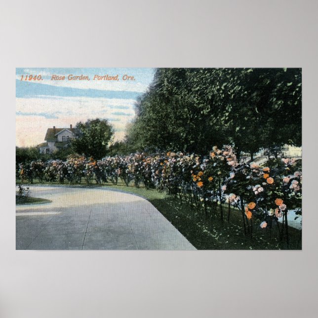 Póster Portland, OregonView of a Rosa Garden (Frente)