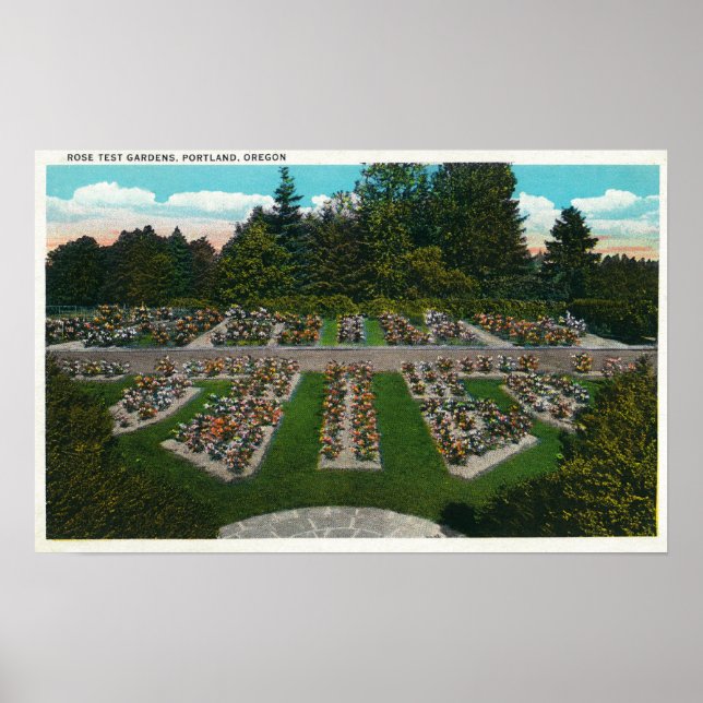 Póster Portland, OregonView of the Rosa Test Gardens (Frente)