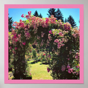 Póster Portland Rosa Garden, OR