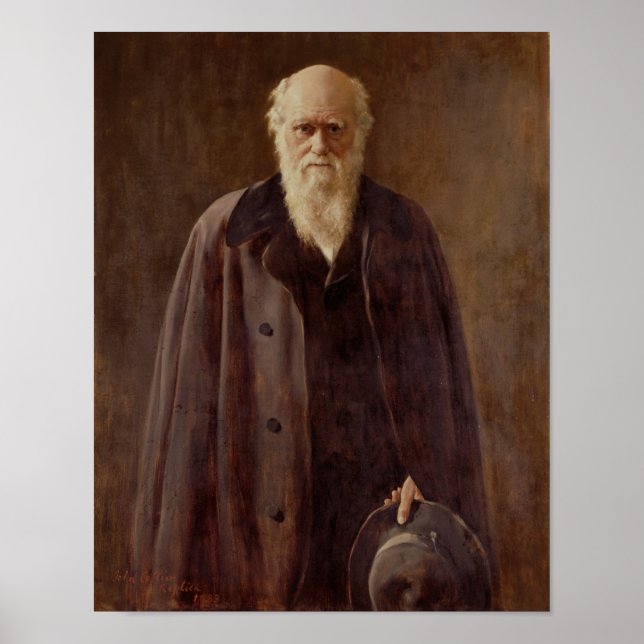 Póster Portrait of Charles Darwin  1883 (Frente)