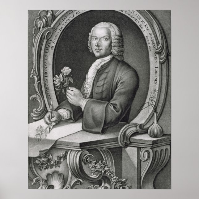 Póster Portrait of Georg Dionysius Ehret (1710-70) engrav (Frente)