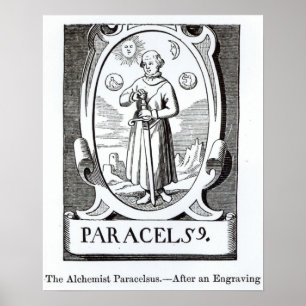 Póster Portrait of Paracelsus