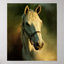 portriat de cabeza de caballo