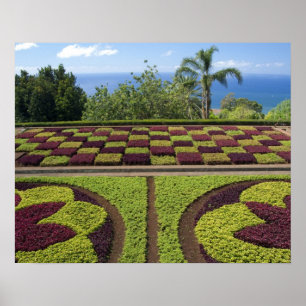 Póster Portugal, Isla de Madeira, Funchal. Botánico
