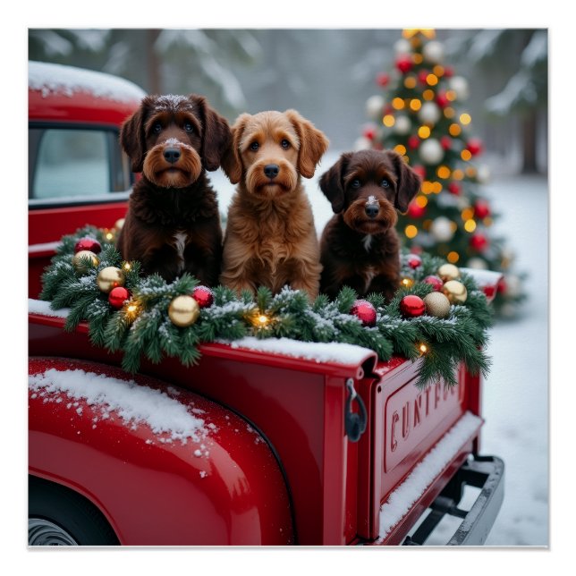 Póster Portuguese Water Dog Christmas Red Truck Holiday (Anverso)