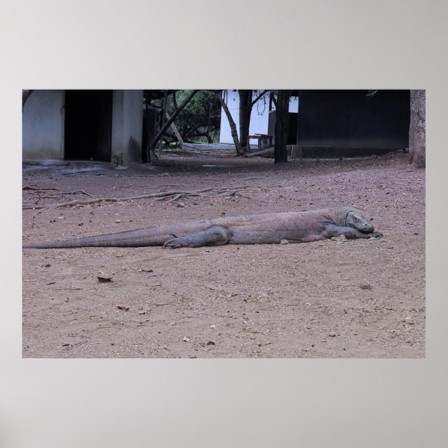 Póster Posando Dragón (Frente)