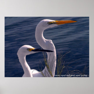 Póster Posando las hierbas