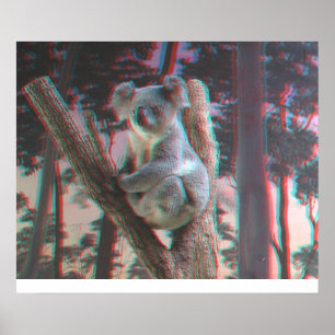 Póster Poses fotogénicos de Koala para la cámara en 3D