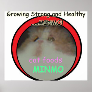 Póster Posiblemente la referencia más oscura de Silent Hi