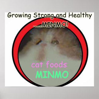 Póster Posiblemente la referencia más oscura de Silent Hi