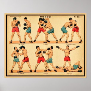 Póster Posición y golpes de boxeo de la década de 1920