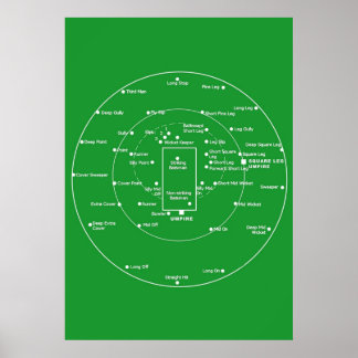 Póster POSICIONES DE PITCH DE CRICKET - Diagra de posicio