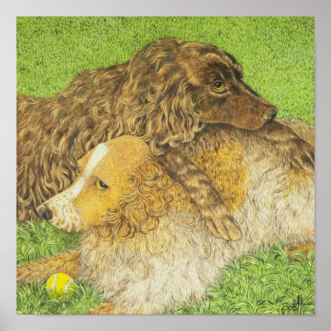 Póster Possession (Frente)