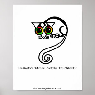 Póster Possum -