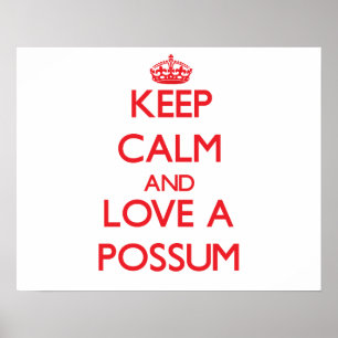 Póster Possum