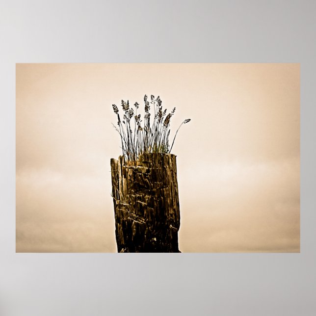 Póster Post Grass (Frente)