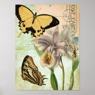 Póster Postales antiguas con mariposas y flores