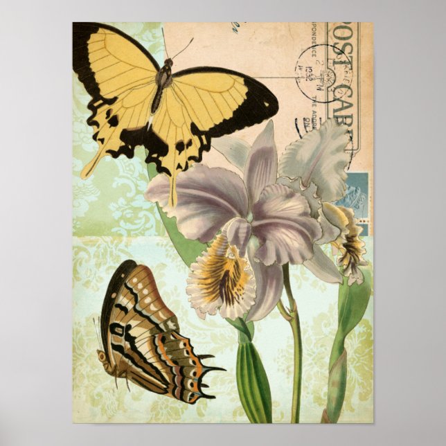 Póster Postales antiguas con mariposas y flores (Frente)