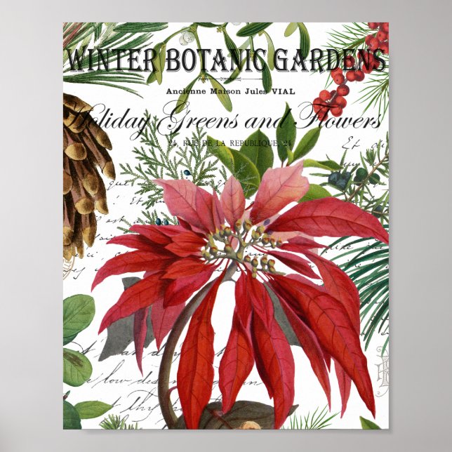 Póster Poste de postal floral de jardín de invierno vinta (Frente)
