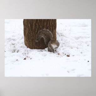 PÓSTER POSTEO DE LA CAPTURA PERFECTA