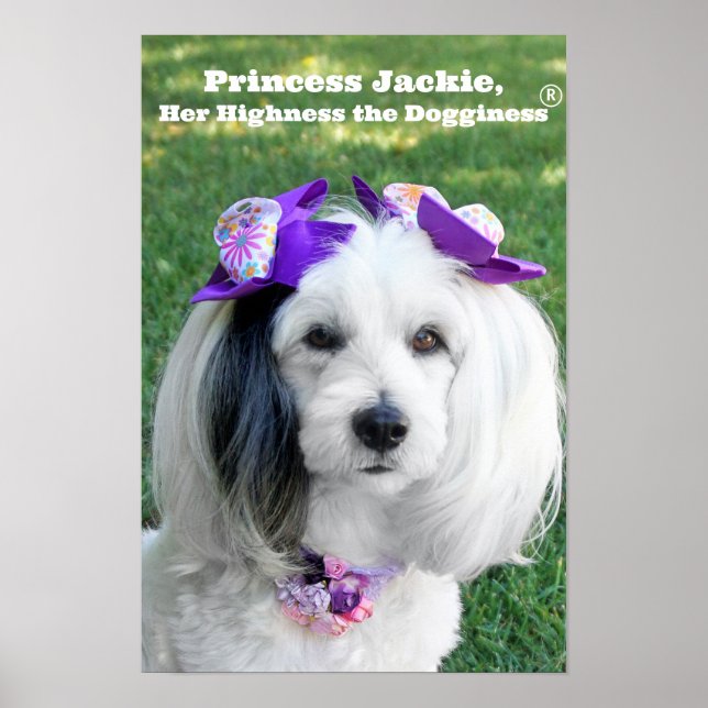 Póster Poster (Frente)