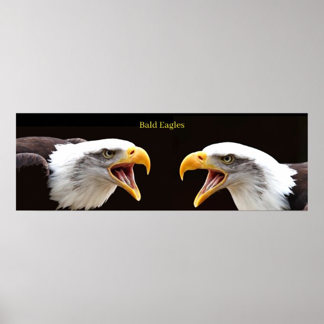 Póster Poster (Frente)