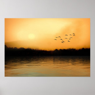 Póster Poster