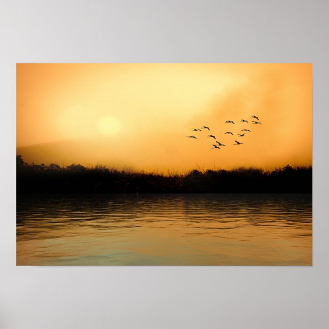 Póster Poster (Frente)